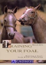 Training Your Foal