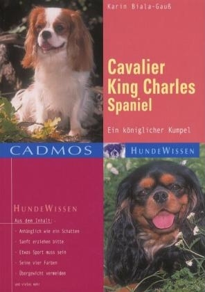 Cavalier King Charles Spaniel
