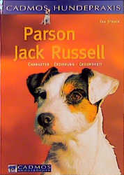 Parson Jack Russell