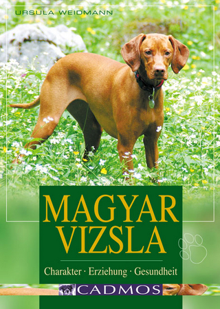 Magyar Vizsla