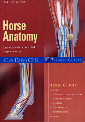 Horse Anatomy - Anke R&uuml;sb&uuml;ldt