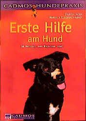 Erste Hilfe am Hund