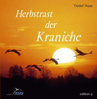 Herbstrast der Kraniche