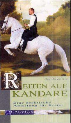 Reiten auf Kandare