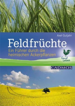 Feldfr&uuml;chte - Axel Gutjahr