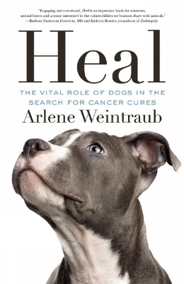 Heal - Arlene Weintraub