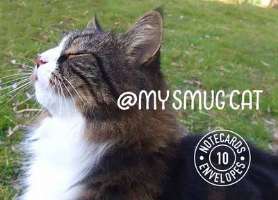 My Smug Cat Notecards - Tom Cox