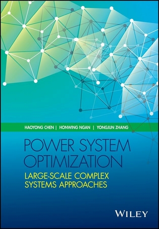Power System Optimization