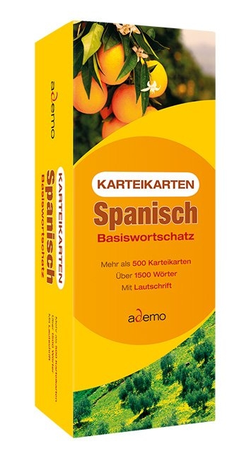Karteikarten Basiswortschatz Spanisch