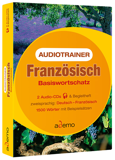 Audiotrainer Basiswortschatz Franz&ouml;sisch