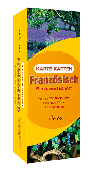 Karteikarten Basiswortschatz Französisch