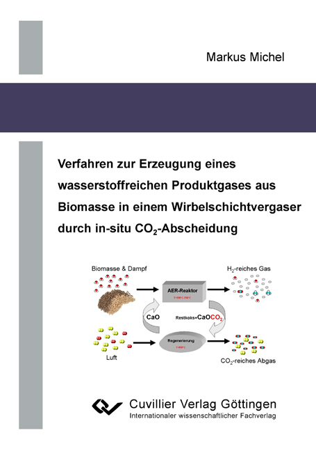 Verfahren zur Erzeugung eines wasserstoffreichen Produktgases aus Biomasse in einem Wirbelschichtvergaser durch in-situ CO2-Abscheidung - Markus Michel