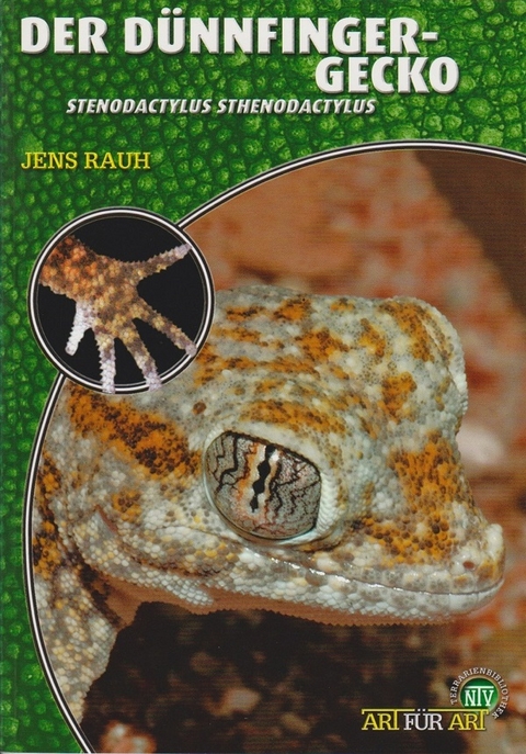 Der D&uuml;nnfingergecko - Jens Rauh