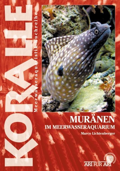 Mur&auml;nen im Meerwasseraquarium - Marco Lichtenberger