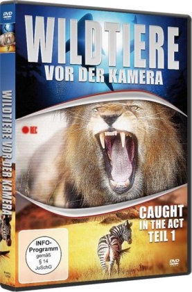 Wildtiere vor der Kamera - Caught in the Act. Tl.1, 1 DVD