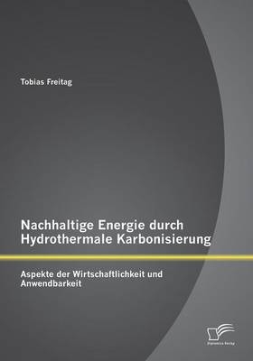 Nachhaltige Energie durch Hydrothermale Karbonisierung: Aspekte der Wirtschaftlichkeit und Anwendbarkeit