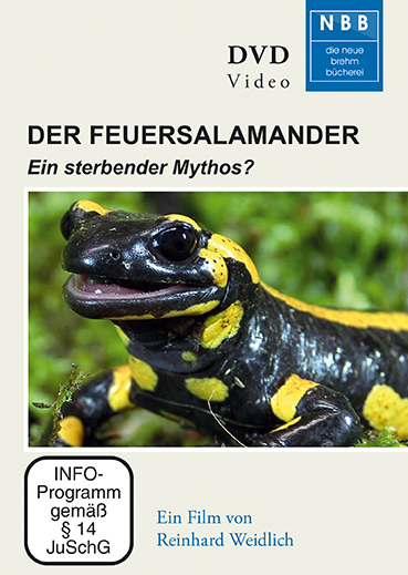 Der Feuersalamander - Reinhard Weidlich