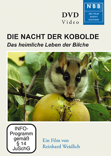 Die Nacht der Kobolde - Reinhard Weidlich