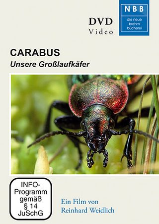 Carabus