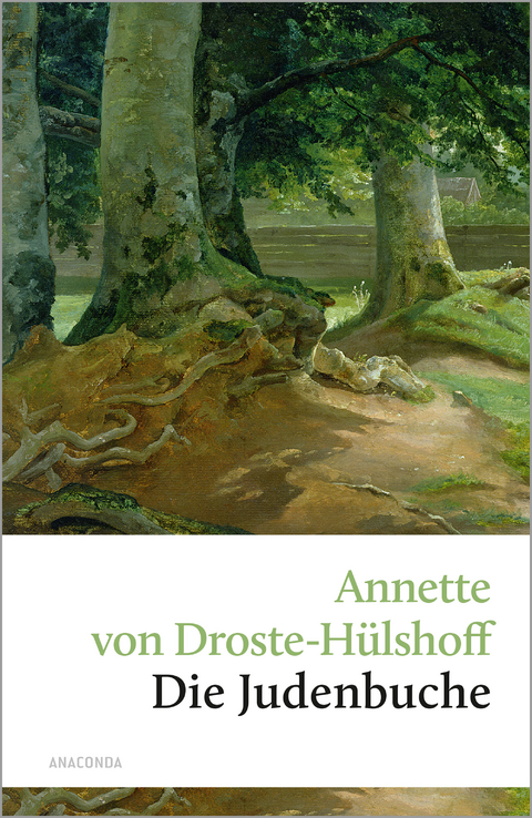 Die Judenbuche - Annette von Droste-H&uuml;lshoff