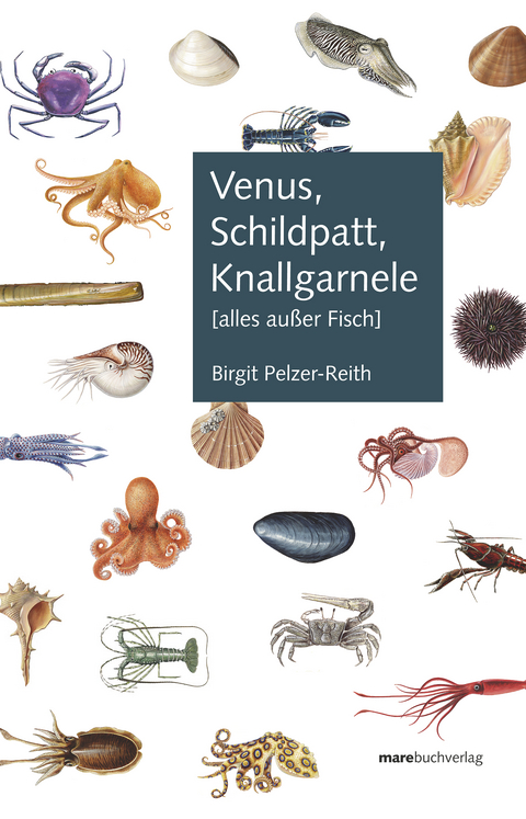 Venus, Schildpatt, Knallgarnele - Birgit Pelzer-Reith