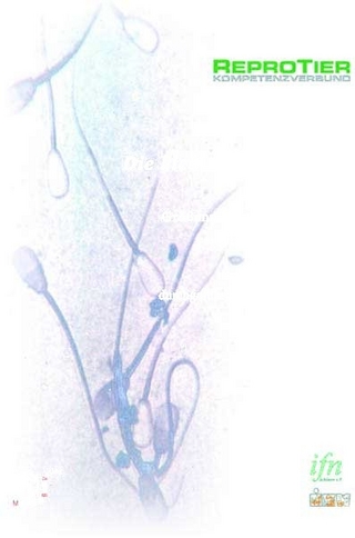 Die kleine Spermienfibel