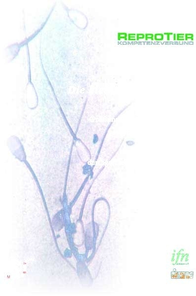 Die kleine Spermienfibel - Britta H&auml;hnel