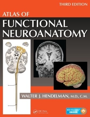 Atlas of Functional Neuroanatomy - Walter Hendelman M.D.