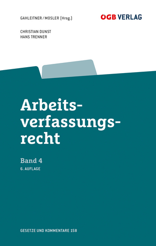 Arbeitsverfassungsrecht Bd 4