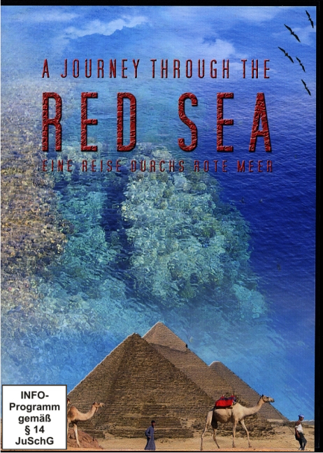 Tauchen im Roten Meer -  Foto Dive Studios