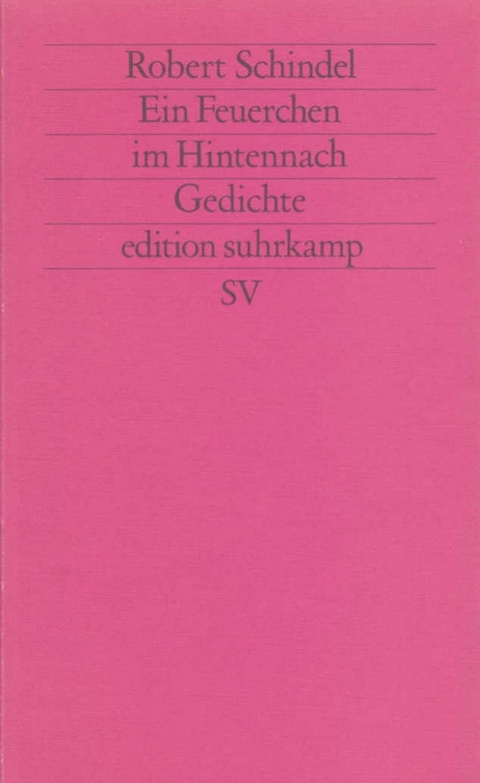 Ein Feuerchen im Hintennach - Robert Schindel