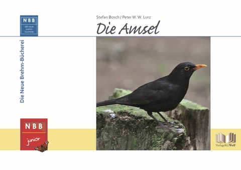 Die Amsel - Stefan Bosch, Peter W. W. Lurz
