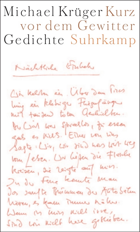 Kurz vor dem Gewitter - Michael Kr&uuml;ger