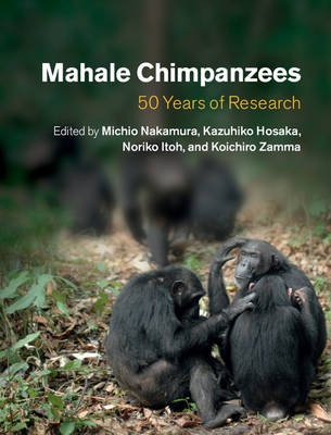 Mahale Chimpanzees - 