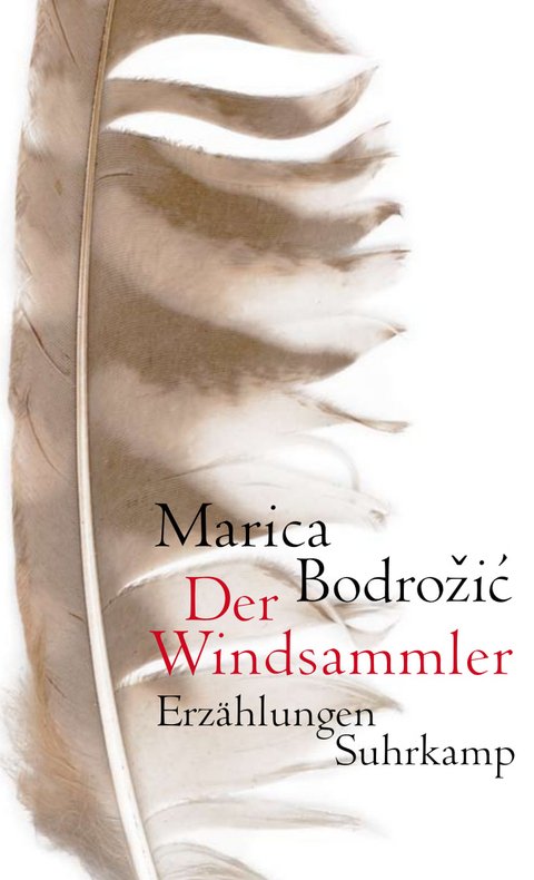 Der Windsammler - Marica Bodrožic