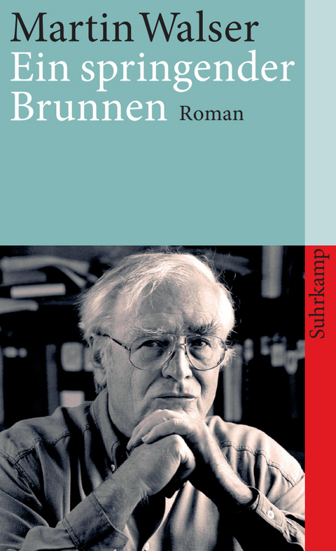 Ein springender Brunnen - Martin Walser