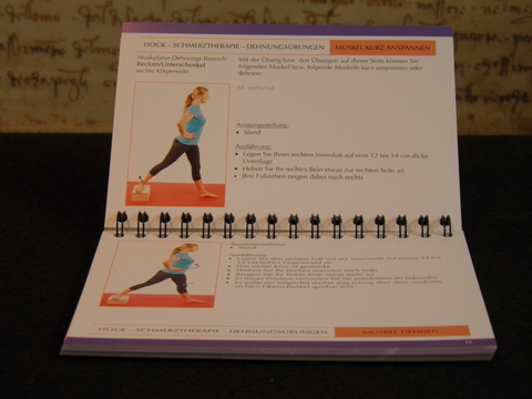 Schmerzt es noch oder dehnen Sie schon? - Burkhard Hock