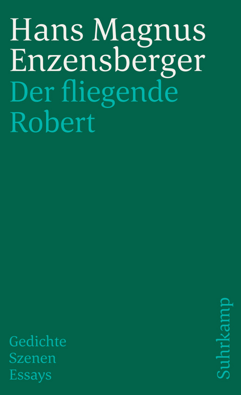 Der Fliegende Robert - Hans Magnus Enzensberger