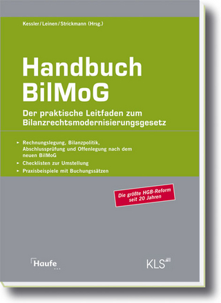 Handbuch BilMoG
