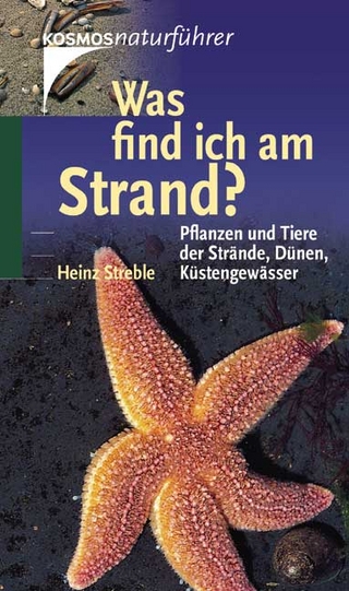 Was find ich am Strand?