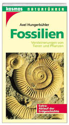 Fossilien - Axel Hungerb&uuml;hler