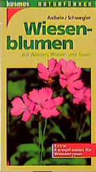 Wiesenblumen - Dietmar Aichele, Heinz W Schwegler