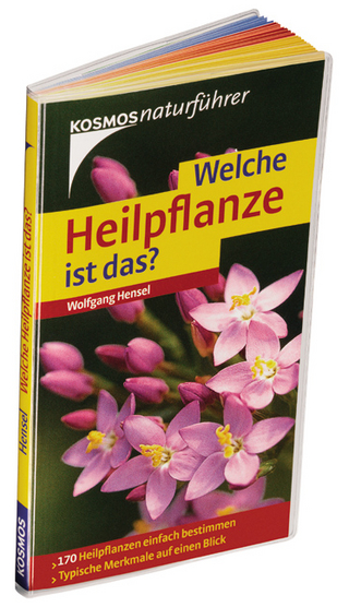 Welche Heilpflanze ist das?