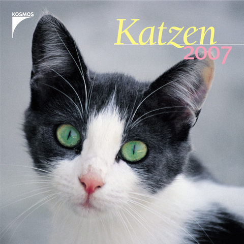 Katzen 2007