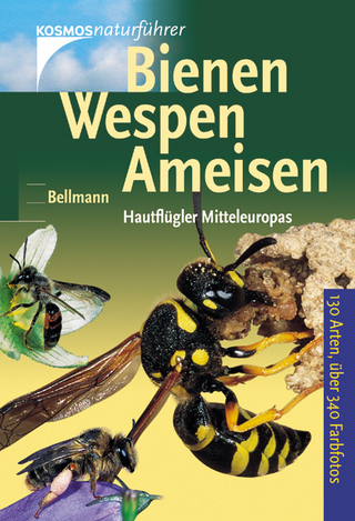 Bienen, Wespen, Ameisen
