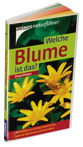 Welche Blume ist das?