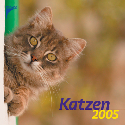 Katzen 2005