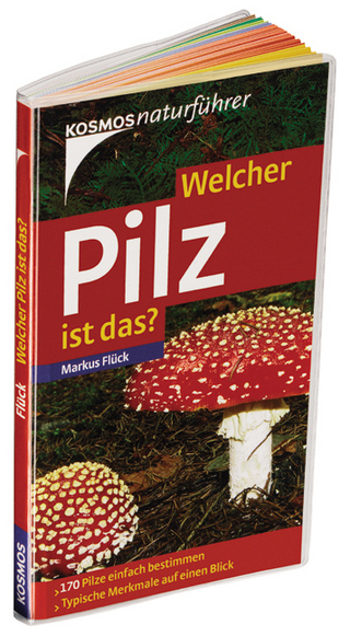Welcher Pilz ist das?