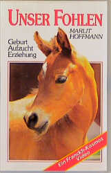Unser Fohlen