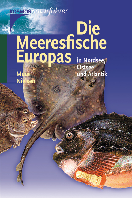 Die Meeresfische Europas in Nordsee, Ostsee und Atlantik - Bent J Muus, J&Oslash;rgen G Nielsen